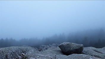 brume barbara noiret